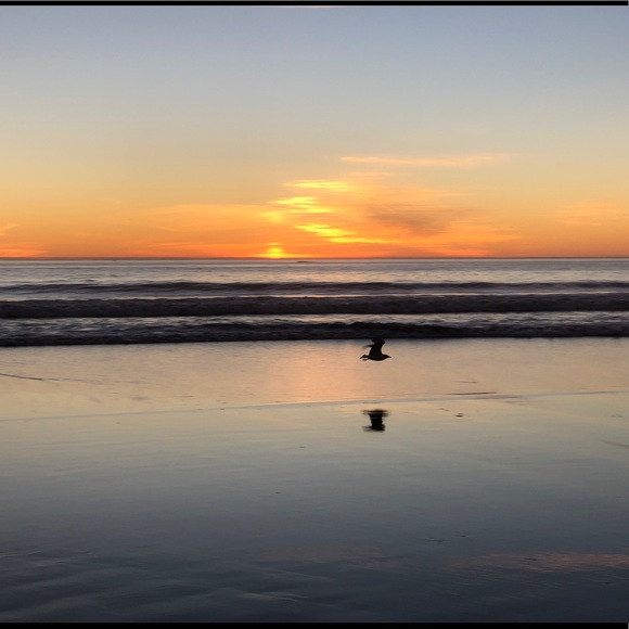 Meet your Posher, Linda - Picture 2 of 11